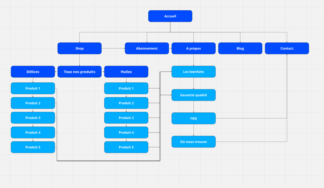 Site ma du site ecommerce d'Olixir