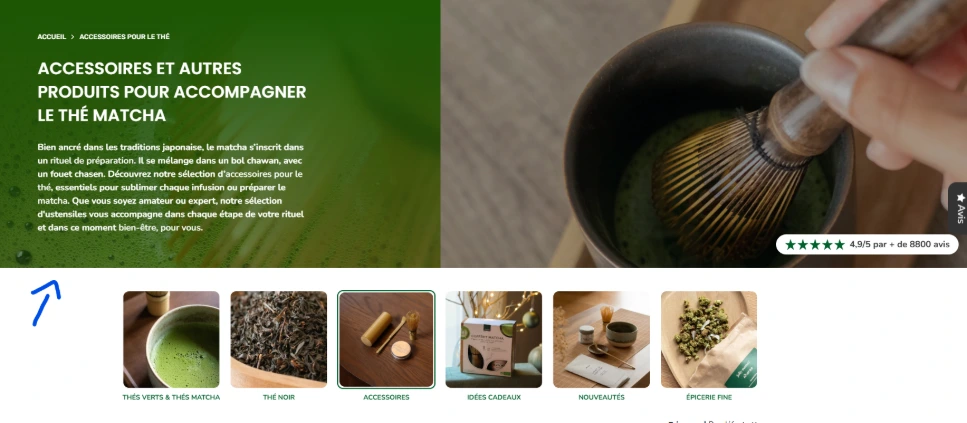 Exemple d&#39;une belle description de collection Shopify