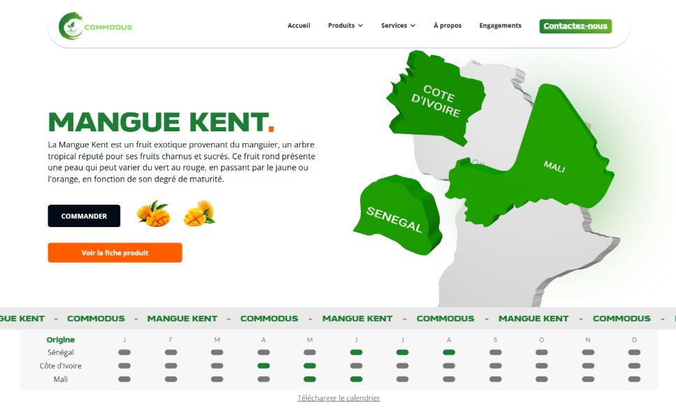 Page produit pour une société d'import-export